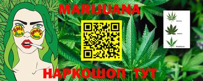 шишки Новозыбков
