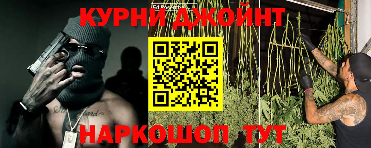 Санкт-Петербург  Бошки Шишки семена  Вход с VPN  Канабис семена 